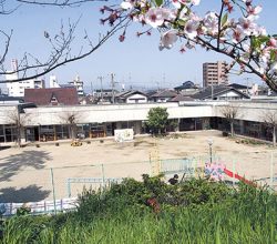 夢の鳥保育園