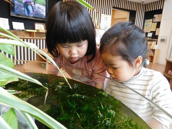 エントランスの生き物たち