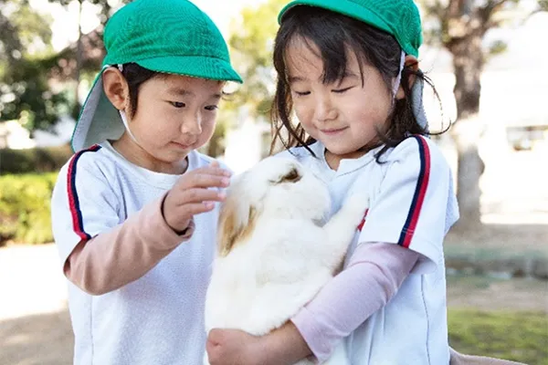 園庭のうさぎ小屋では