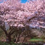 ４月の子育て電話相談