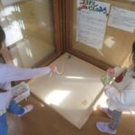 こま回し