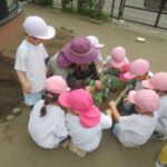 4歳児　初めての食育