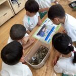 カエルさんの飼育記録（4歳児）