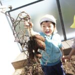 さつまいもほり