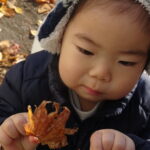 11月＊秋ってたのしいな＊