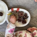 自然物遊び（1歳児）