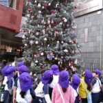 クリスマスツリーを見たよ！