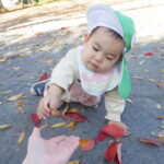 １１月　戸外遊び（０歳児）