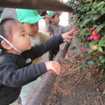 １月 　散歩（０歳児）