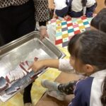 魚の解体ショー