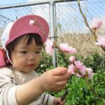 ちいさな春をみつけました