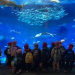 3月の子どもの様子