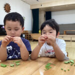 春の野菜に触れよう！(３歳児)