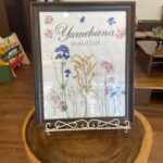 行事『卒園式』