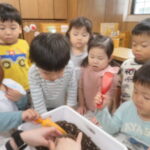 菜園活動