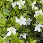 4月の様子