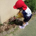お手紙と苗が届いたよ！（5歳児）