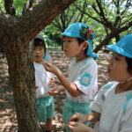 6月　散歩（５歳児）