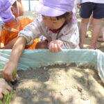 田植えをしたよ