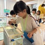 7月：夏祭りがありました。