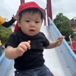 ６月の様子