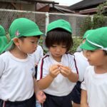 園庭で楽しむ姿が見られます！